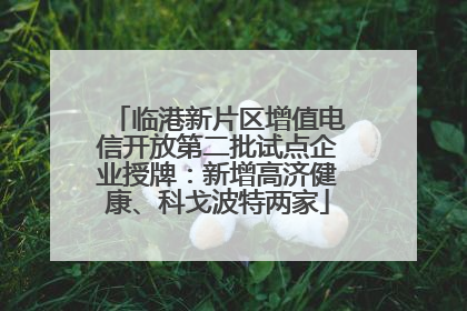 临港新片区增值电信开放第二批试点企业授牌：新增高济健康、科戈波特两家