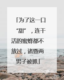为了这一口“甜”，连干活的蜜蜂都不放过，诸暨两男子被抓
