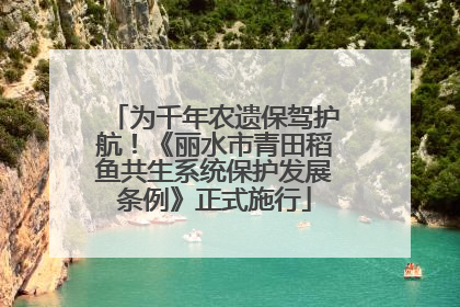 为千年农遗保驾护航！《丽水市青田稻鱼共生系统保护发展条例》正式施行