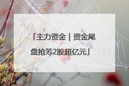 主力资金｜资金尾盘抢筹2股超亿元