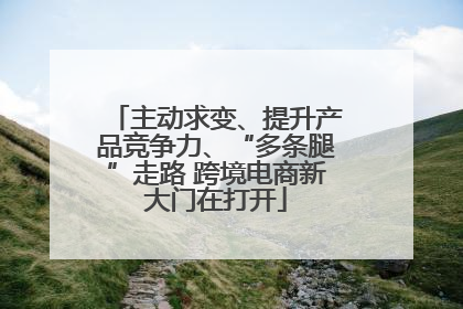 主动求变、提升产品竞争力、“多条腿”走路 跨境电商新大门在打开