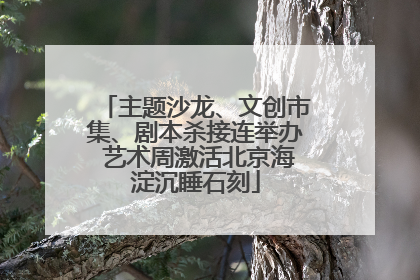 主题沙龙、文创市集、剧本杀接连举办 艺术周激活北京海淀沉睡石刻