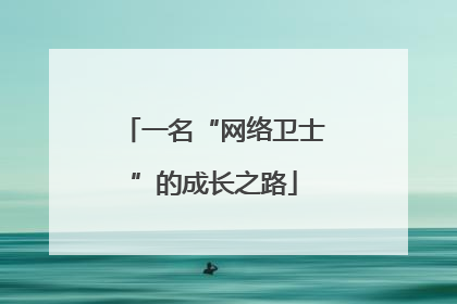 一名“网络卫士”的成长之路