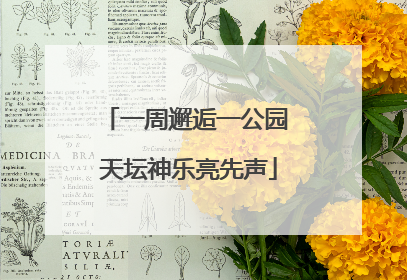 一周邂逅一公园 天坛神乐亮先声