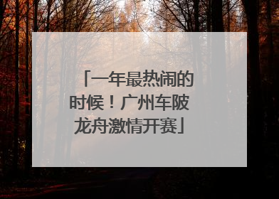 一年最热闹的时候！广州车陂龙舟激情开赛