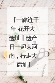 一廊连千年 花开大遗址丨遗产日一起来河南，行走大遗址