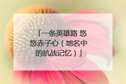 一条英雄路 悠悠赤子心（地名中的抗战记忆）