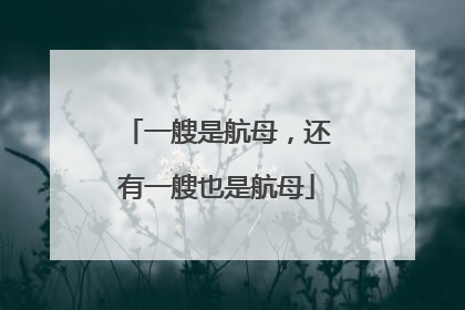 一艘是航母，还有一艘也是航母