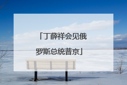 丁薛祥会见俄罗斯总统普京