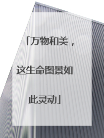 万物和美，这生命图景如此灵动