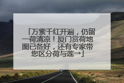 万紫千红开遍，仍留一荷清凉！厦门赏荷地图已备好，还有专家带您区分荷与莲→