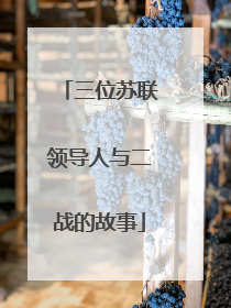 三位苏联领导人与二战的故事