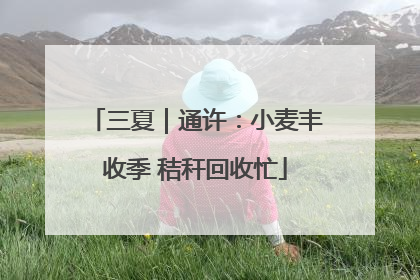 三夏｜通许：小麦丰收季 秸秆回收忙