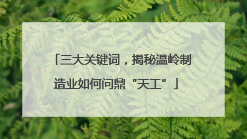 三大关键词，揭秘温岭制造业如何问鼎“天工”