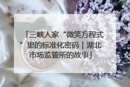 三峡人家“微笑方程式”里的标准化密码｜湖北市场监管所的故事