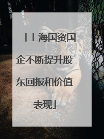 上海国资国企不断提升股东回报和价值表现