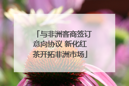 与非洲客商签订意向协议 新化红茶开拓非洲市场