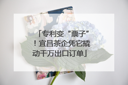 专利变“票子”！宜昌茶企凭它撬动千万出口订单