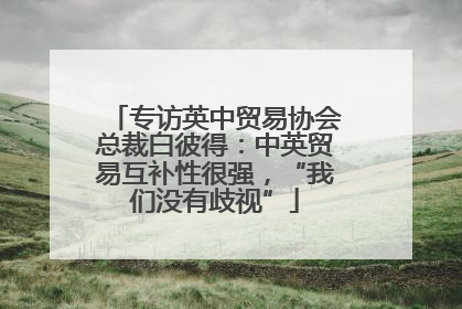 专访英中贸易协会总裁白彼得：中英贸易互补性很强，“我们没有歧视”