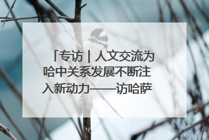 专访｜人文交流为哈中关系发展不断注入新动力——访哈萨克斯坦文化与信息部部长巴拉耶娃