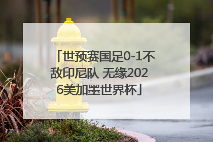 世预赛国足0-1不敌印尼队 无缘2026美加墨世界杯