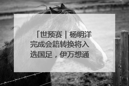 世预赛｜杨明洋完成会籍转换将入选国足，伊万想通了要打双后腰？