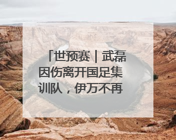 世预赛｜武磊因伤离开国足集训队，伊万不再补招顶替球员