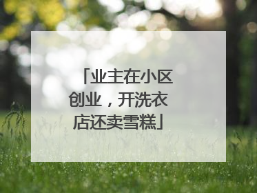 业主在小区创业，开洗衣店还卖雪糕
