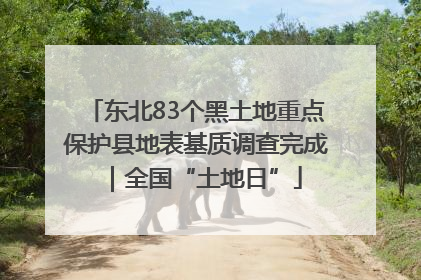 东北83个黑土地重点保护县地表基质调查完成｜全国“土地日”