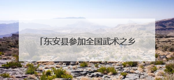 东安县参加全国武术之乡武术套路比赛 再创佳绩