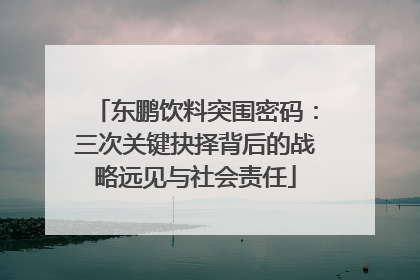 东鹏饮料突围密码：三次关键抉择背后的战略远见与社会责任
