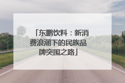 东鹏饮料：新消费浪潮下的民族品牌突围之路