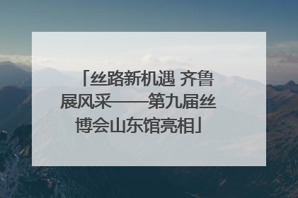 丝路新机遇 齐鲁展风采——第九届丝博会山东馆亮相