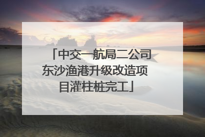 中交一航局二公司东沙渔港升级改造项目灌柱桩完工
