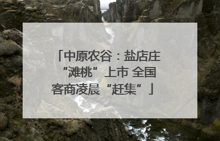 中原农谷：盐店庄“滩桃”上市 全国客商凌晨“赶集”