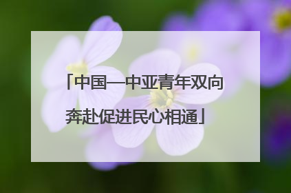 中国—中亚青年双向奔赴促进民心相通