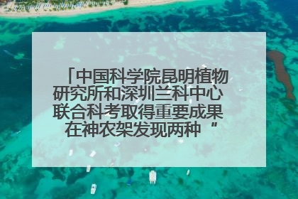 中国科学院昆明植物研究所和深圳兰科中心联合科考取得重要成果 在神农架发现两种“国保”级兰花