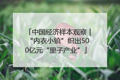 中国经济样本观察｜“内衣小镇”织出500亿元“里子产业”