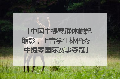 中国中提琴群体崛起缩影，上音学生林怡秀中提琴国际赛事夺冠
