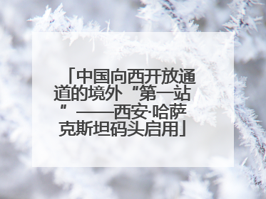 中国向西开放通道的境外“第一站”——西安·哈萨克斯坦码头启用