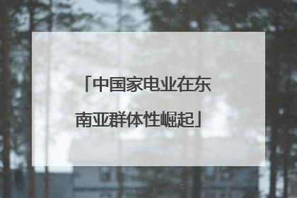 中国家电业在东南亚群体性崛起