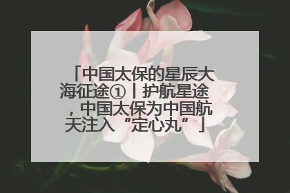 中国太保的星辰大海征途①丨护航星途，中国太保为中国航天注入“定心丸”