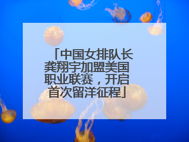 中国女排队长龚翔宇加盟美国职业联赛，开启首次留洋征程