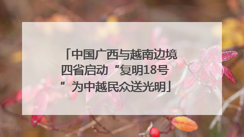 中国广西与越南边境四省启动“复明18号”为中越民众送光明