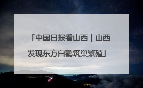 中国日报看山西｜山西发现东方白鹳筑巢繁殖