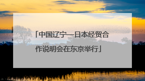 中国辽宁—日本经贸合作说明会在东京举行