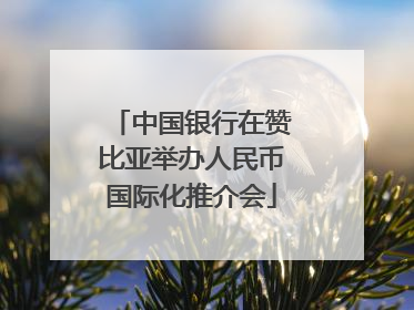 中国银行在赞比亚举办人民币国际化推介会