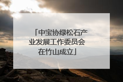 中宝协绿松石产业发展工作委员会在竹山成立