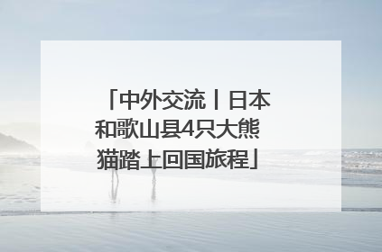 中外交流丨日本和歌山县4只大熊猫踏上回国旅程
