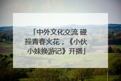 中外文化交流 碰撞青春火花，《小伙小妹换游记》开播